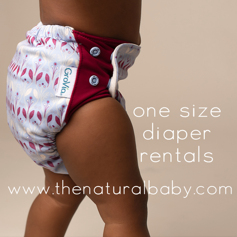 One Size Diaper Rental Packages