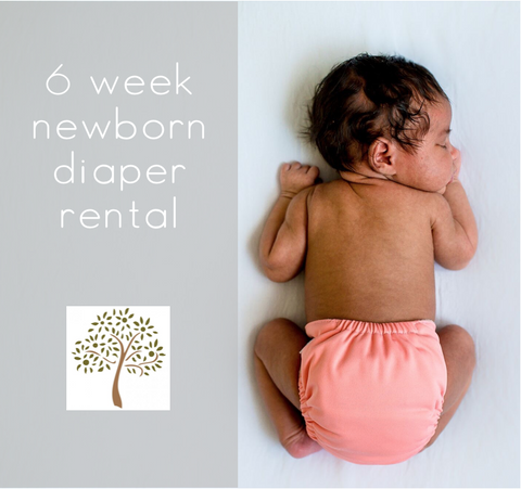 Newborn Cloth Diaper Rental Program - Cheap Cloth Diapers for Newborns, Newborn Set of Cloth Diapers, Used Newborn Cloth Diapers, 