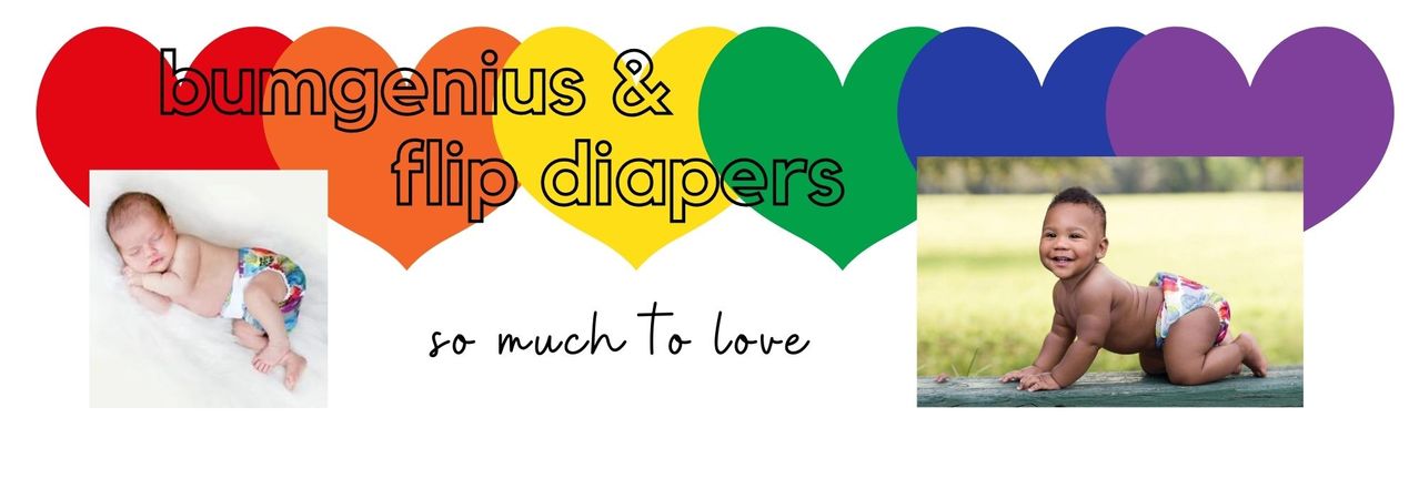 bumGenius & Flip Cloth Diapers - Love Print